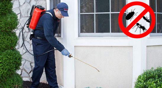 Çamdibi Dezenfeksiyon böcek ilaçlama ve haşere kontrolü — ilaclama-tr.com